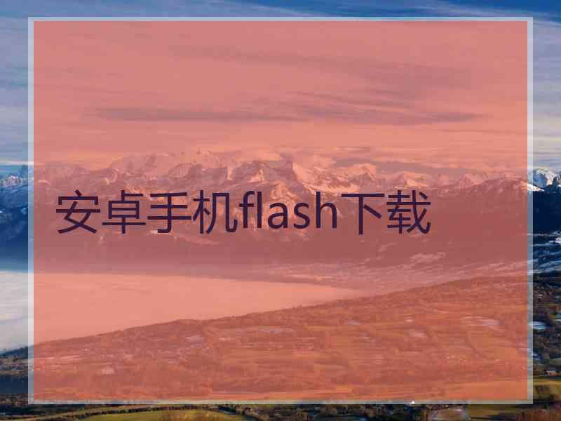 安卓手机flash下载