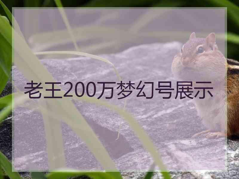 老王200万梦幻号展示