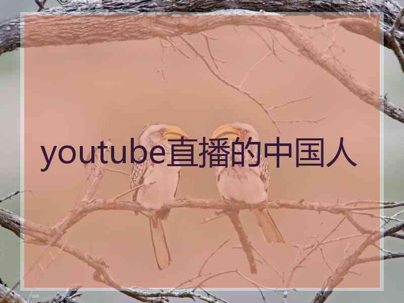 youtube直播的中国人