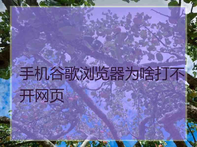 手机谷歌浏览器为啥打不开网页