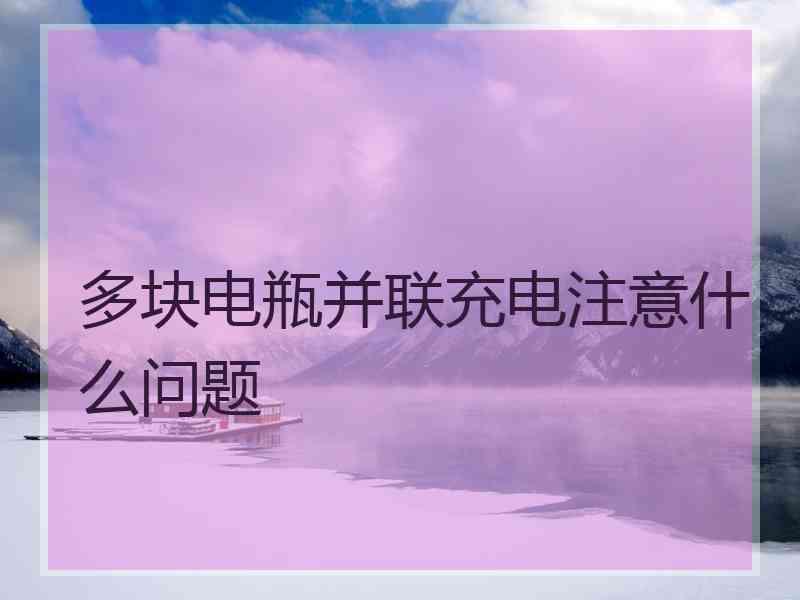 多块电瓶并联充电注意什么问题