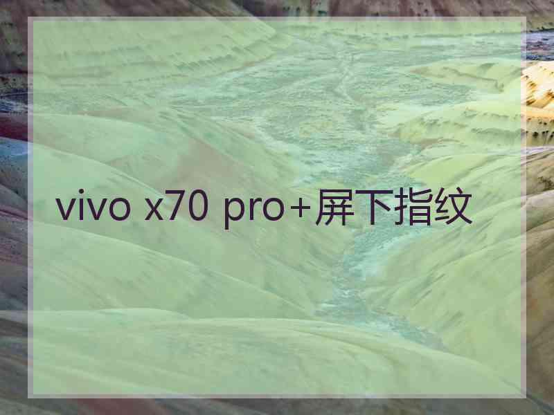 vivo x70 pro+屏下指纹