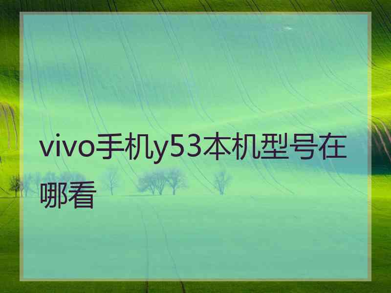 vivo手机y53本机型号在哪看