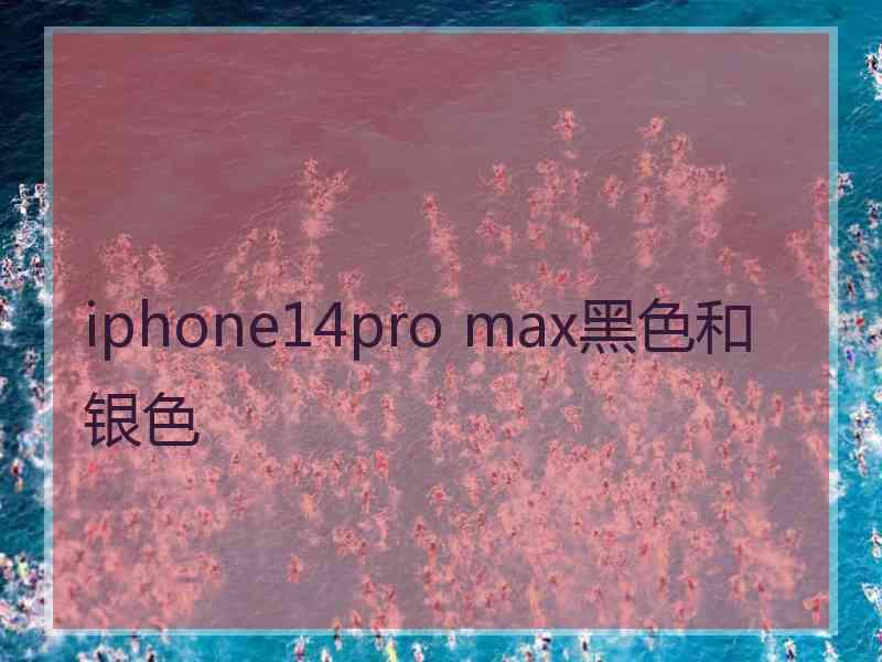 iphone14pro max黑色和银色