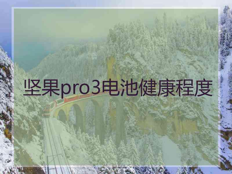 坚果pro3电池健康程度