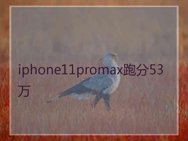 iphone11promax跑分53万