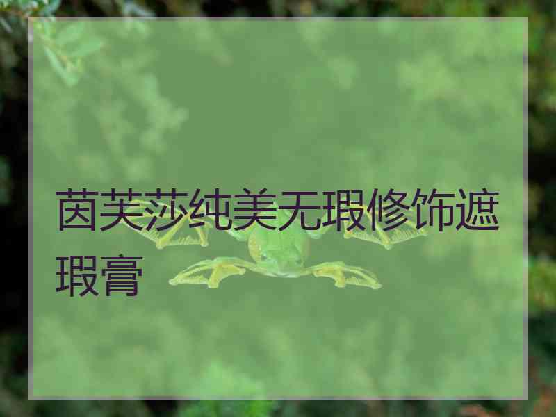 茵芙莎纯美无瑕修饰遮瑕膏