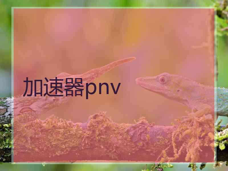 加速器pnv