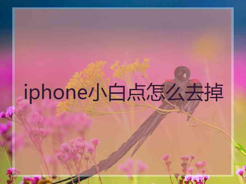 iphone小白点怎么去掉