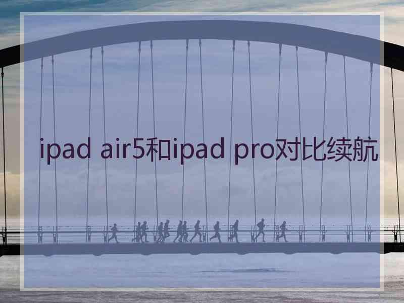 ipad air5和ipad pro对比续航