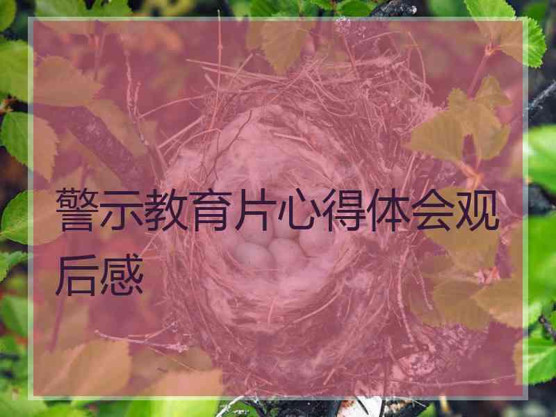 警示教育片心得体会观后感