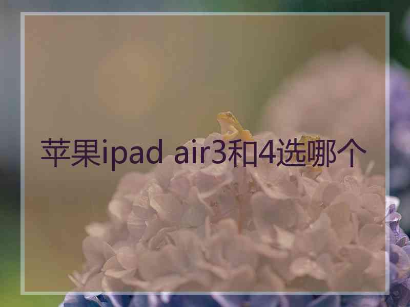 苹果ipad air3和4选哪个