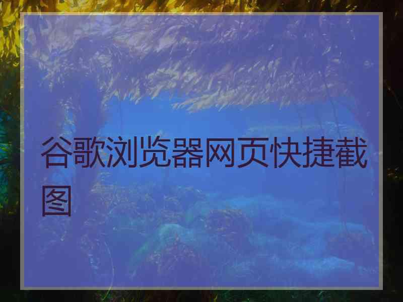 谷歌浏览器网页快捷截图