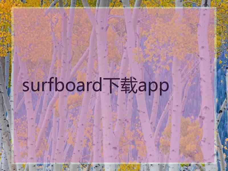 surfboard下载app