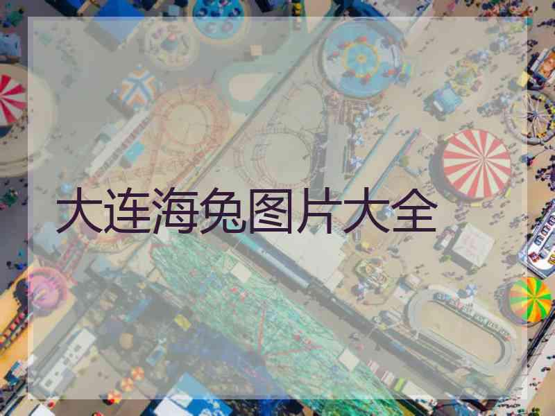 大连海兔图片大全