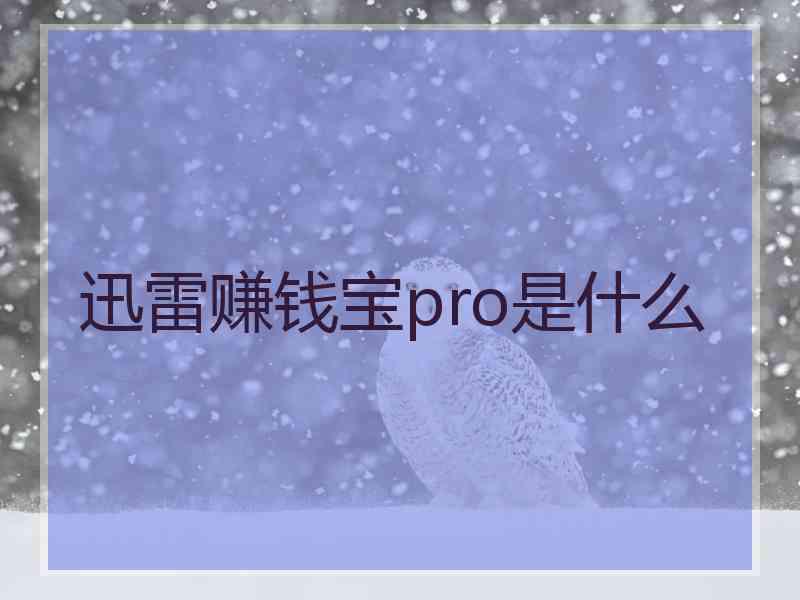 迅雷赚钱宝pro是什么