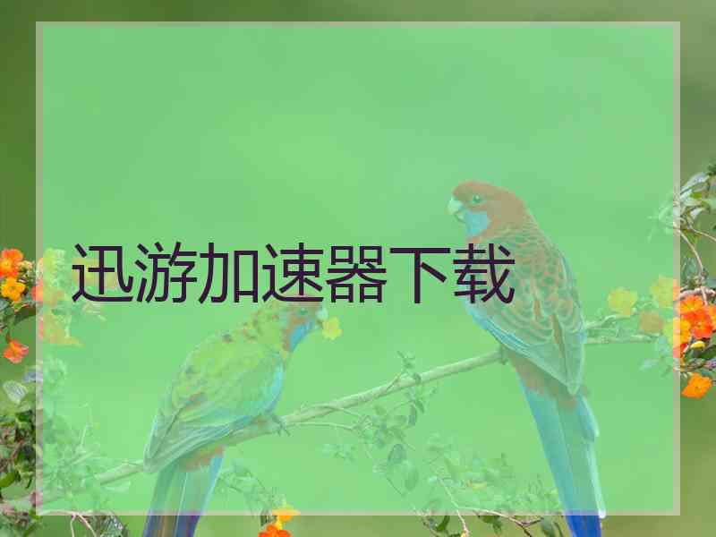 迅游加速器下载