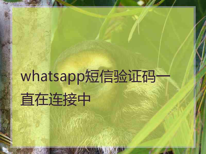 whatsapp短信验证码一直在连接中