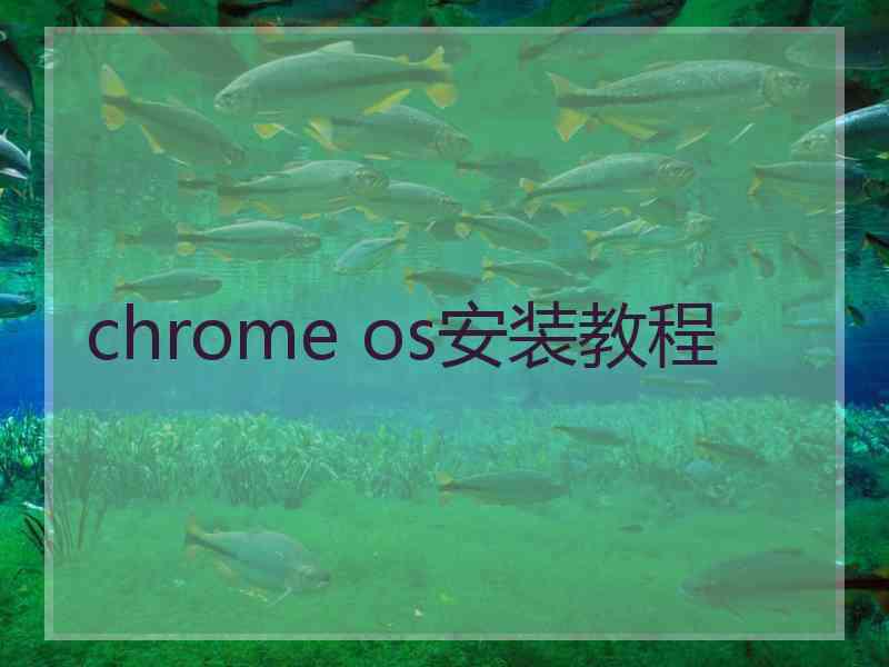 chrome os安装教程