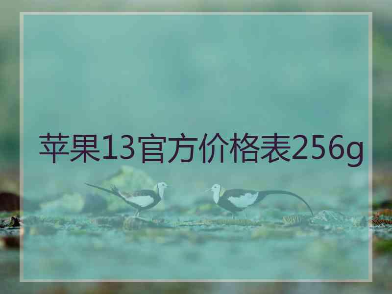 苹果13官方价格表256g