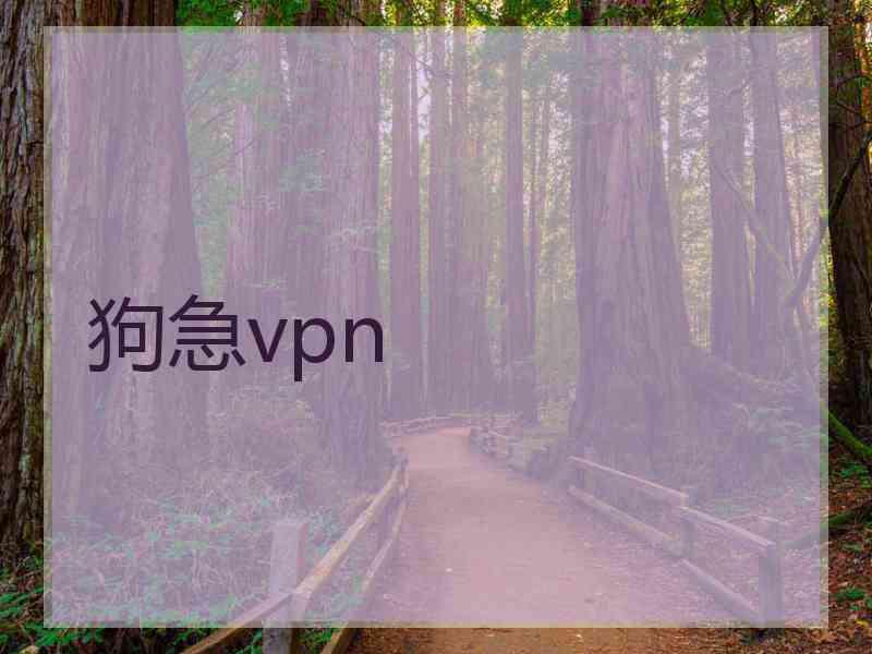 狗急vpn