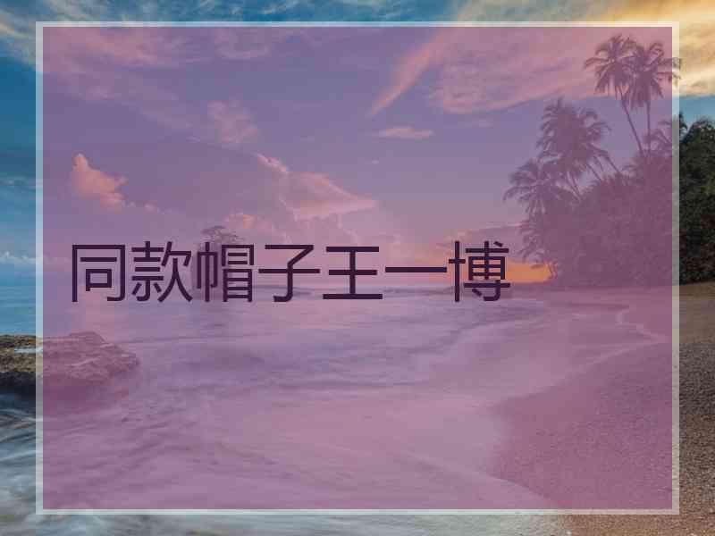 同款帽子王一博