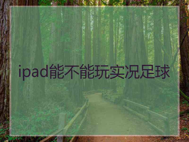 ipad能不能玩实况足球