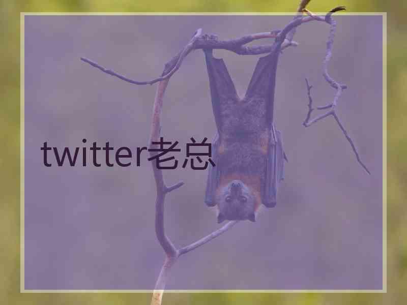 twitter老总