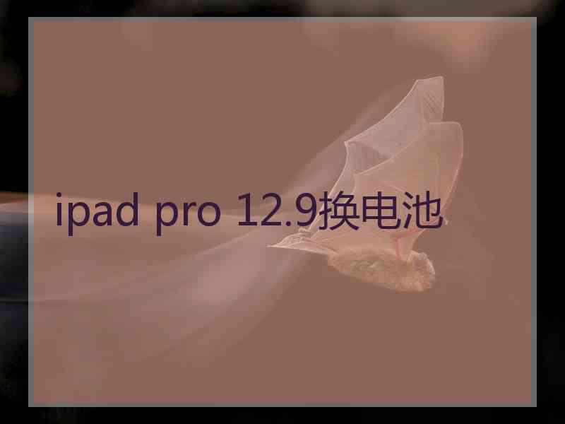 ipad pro 12.9换电池