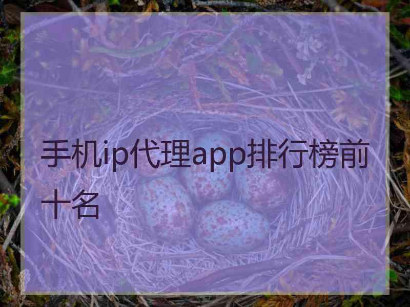 手机ip代理app排行榜前十名