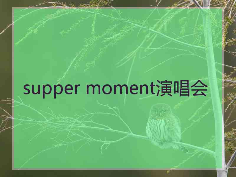 supper moment演唱会