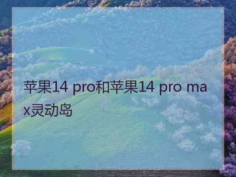 苹果14 pro和苹果14 pro max灵动岛