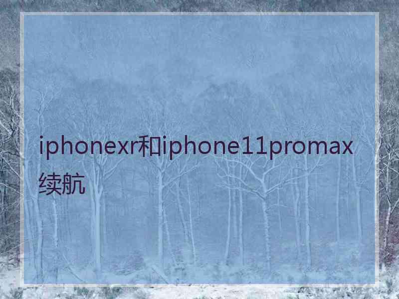 iphonexr和iphone11promax续航