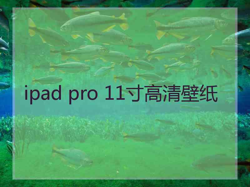 ipad pro 11寸高清壁纸