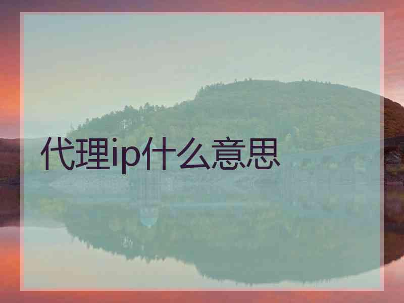 代理ip什么意思