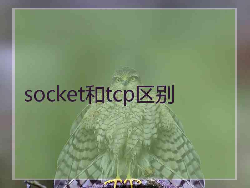 socket和tcp区别