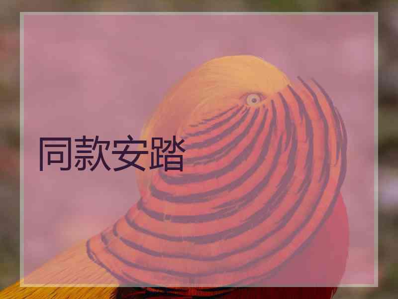 同款安踏