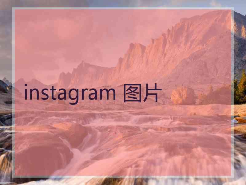 instagram 图片