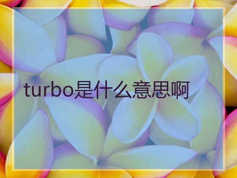 turbo是什么意思啊