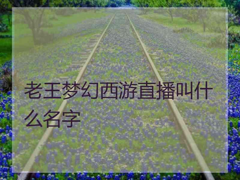 老王梦幻西游直播叫什么名字