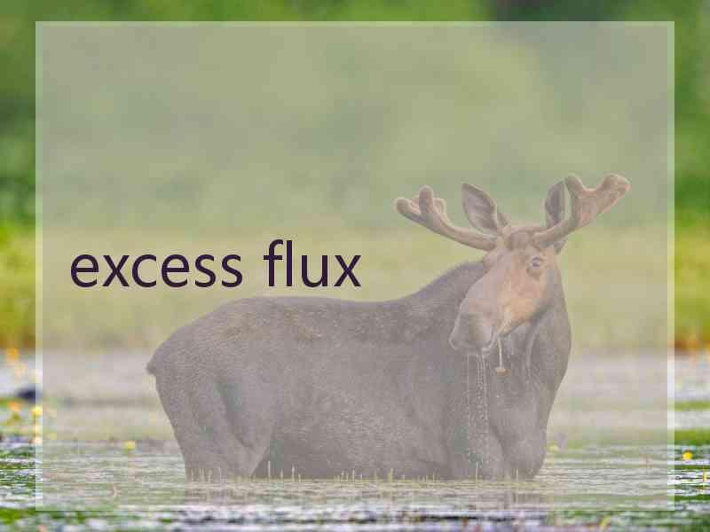 excess flux