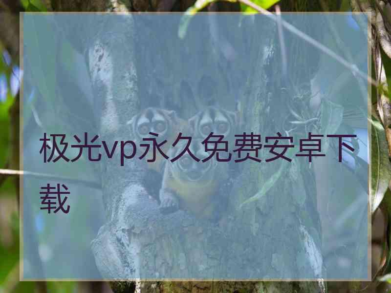 极光vp永久免费安卓下载