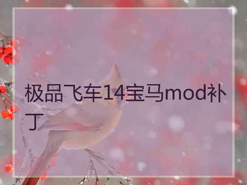 极品飞车14宝马mod补丁