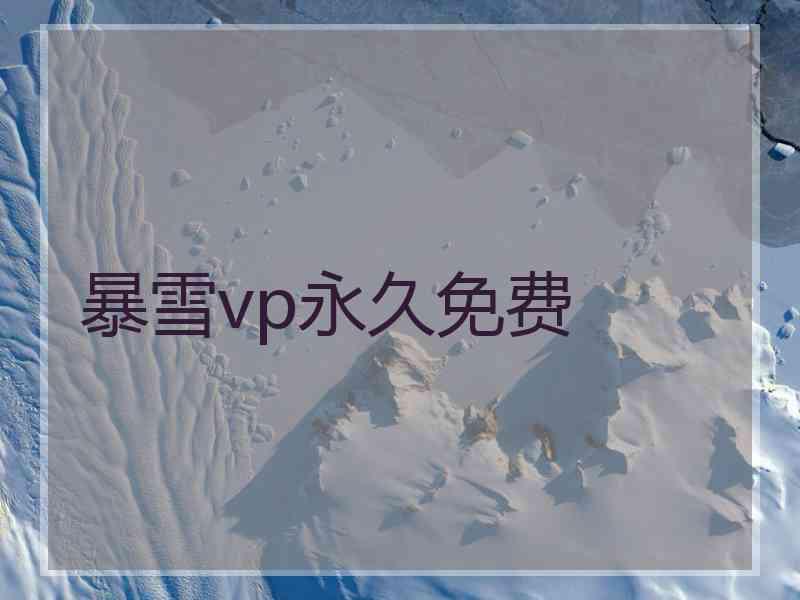 暴雪vp永久免费