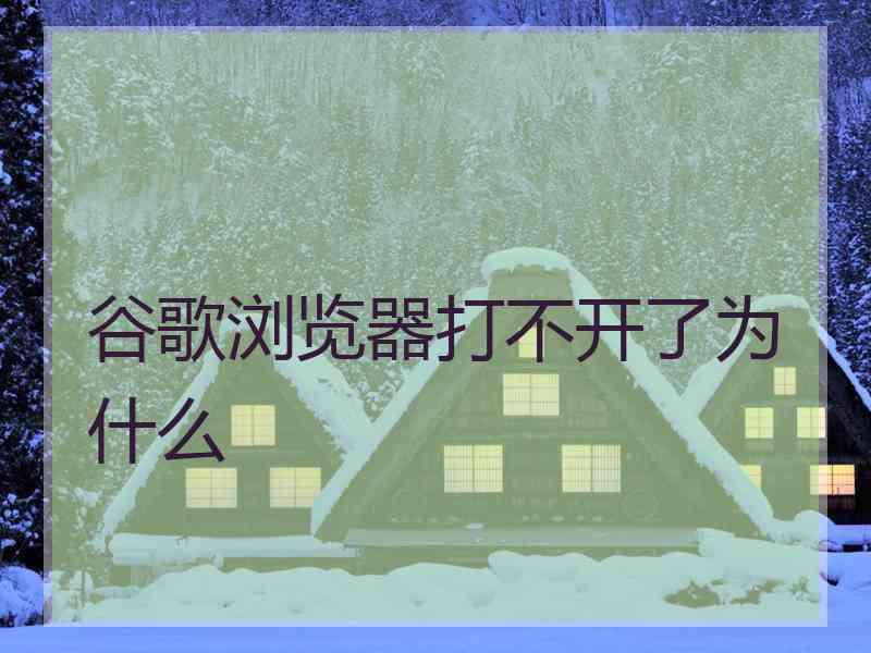 谷歌浏览器打不开了为什么