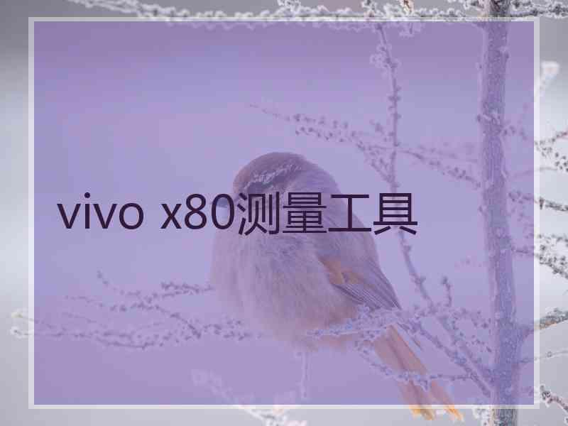 vivo x80测量工具