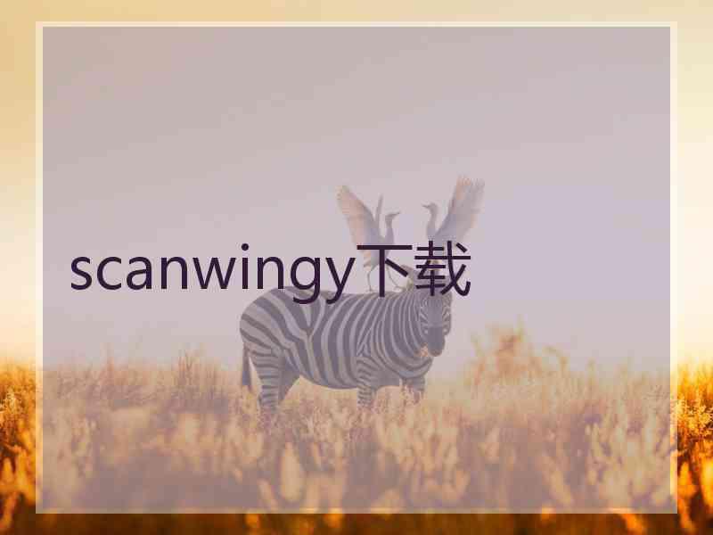 scanwingy下载