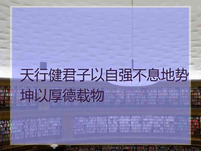 天行健君子以自强不息地势坤以厚德载物