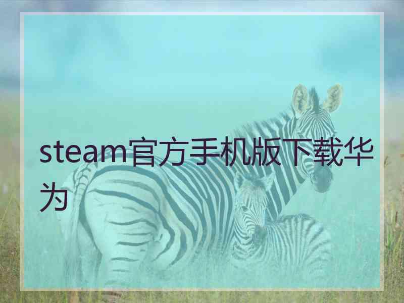 steam官方手机版下载华为