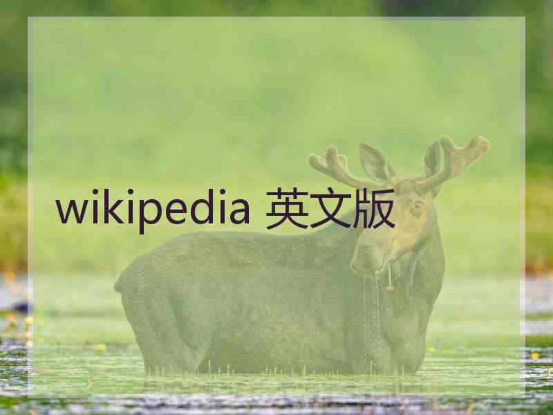 wikipedia 英文版